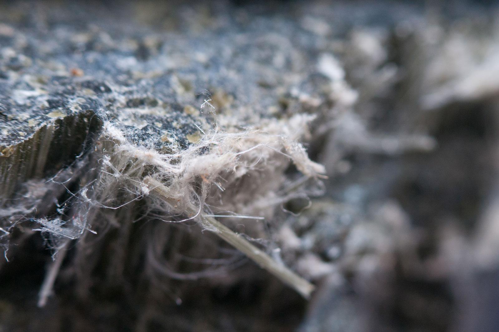 Strands of asbestos chrysotile fibres which can cause lung disease.